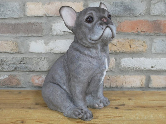 Sitting Dog (Frenchie)