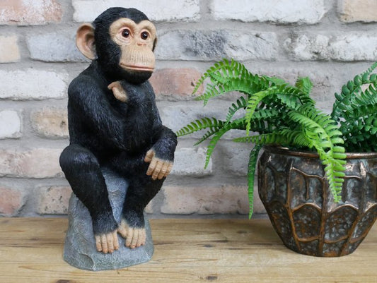 Monkey Thinking