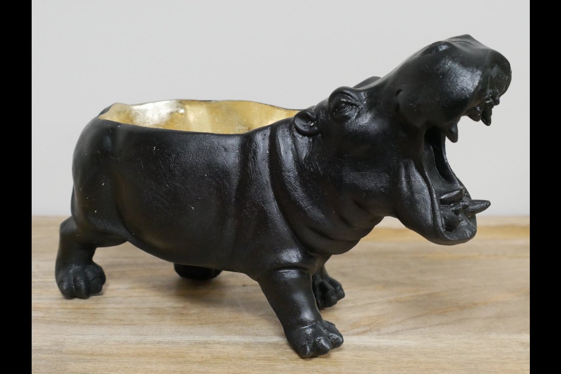 Hippo Dish