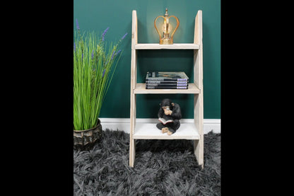 Decorative Ladder