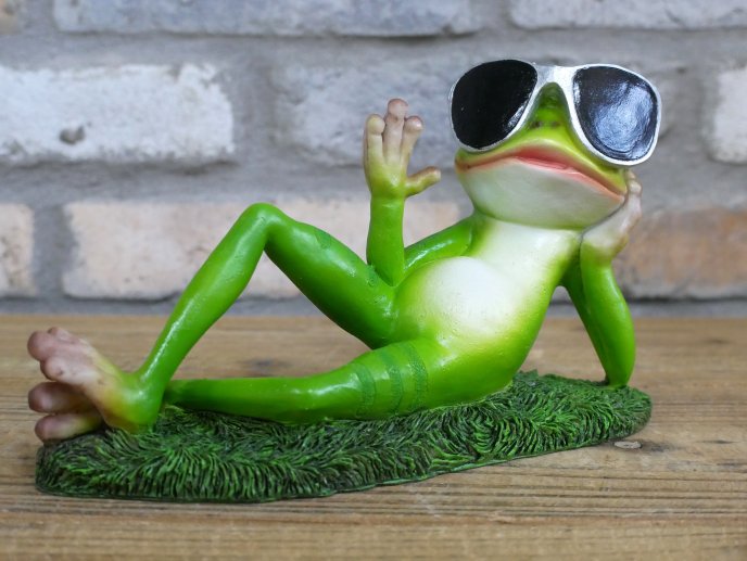 Chilling Frog