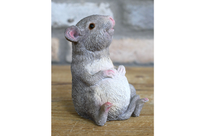 Fat Mouse