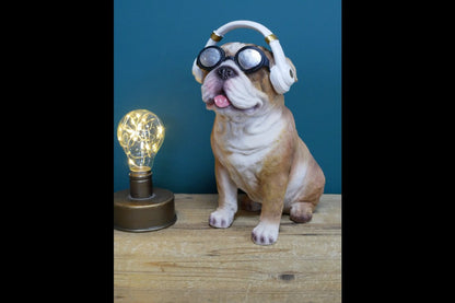 Dog With Headphones