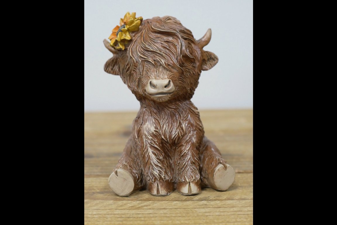 Sitting Highland Cow