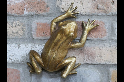 Frog Wall Decoration