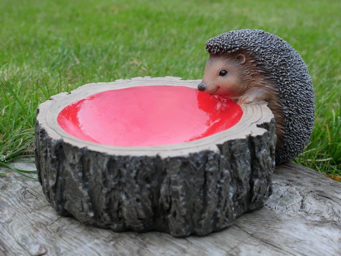 Hedgehog Feeder
