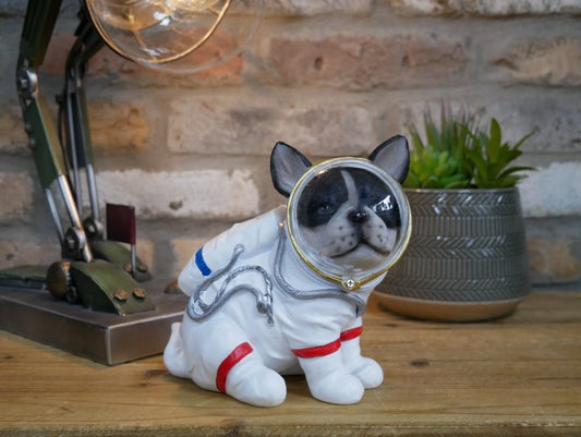 Space Dog