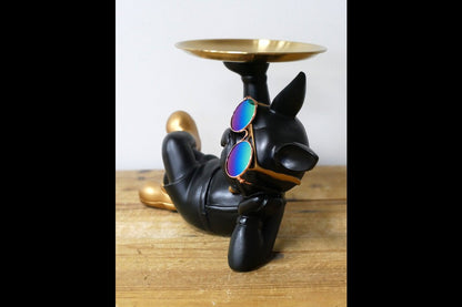 Dog With Tray