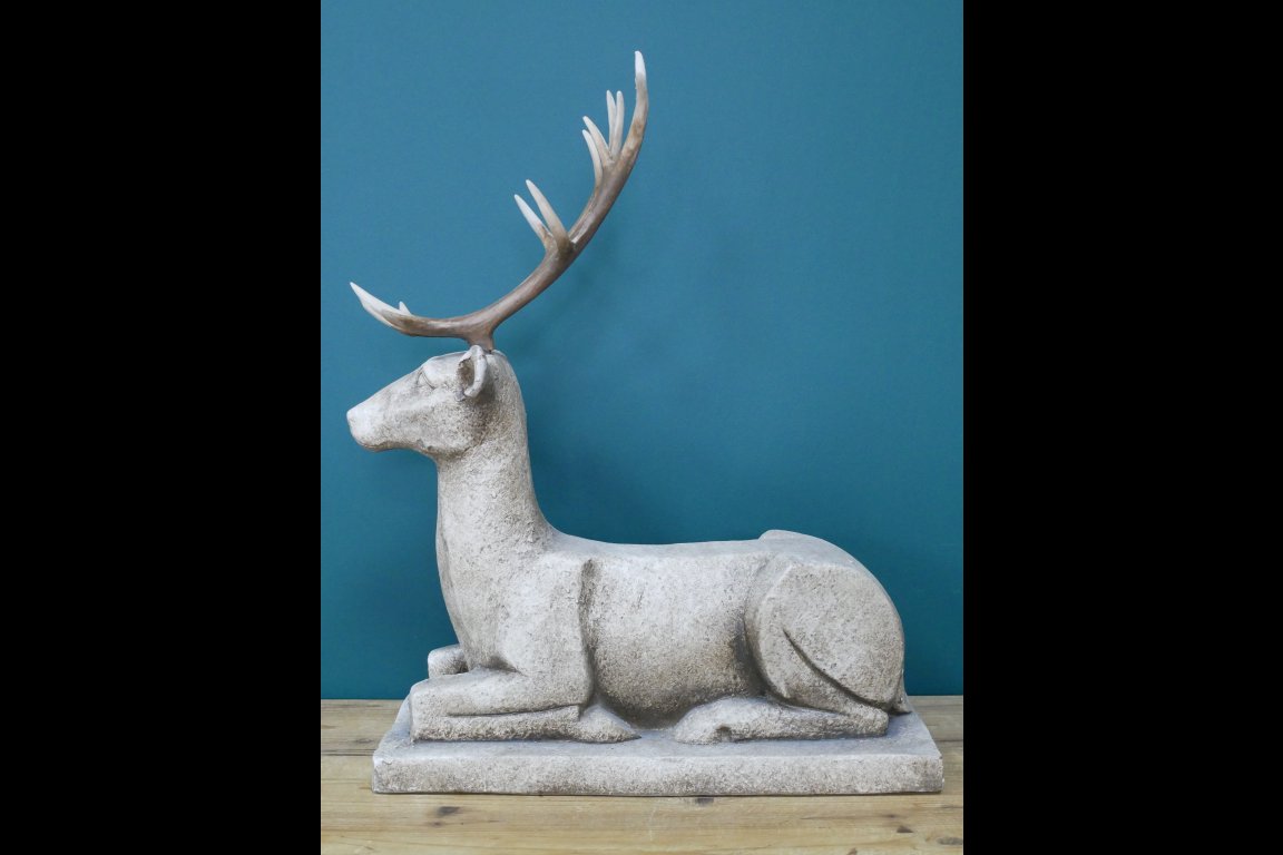 Deer