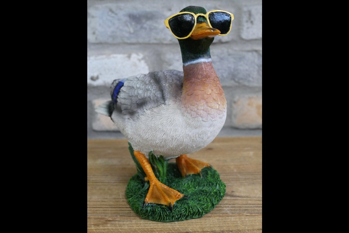 Duck In Shades