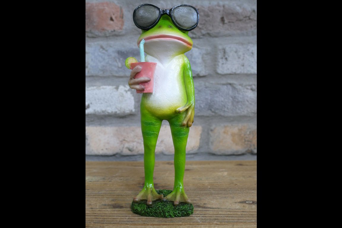 Drinking Frog