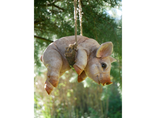 Hanging Pig