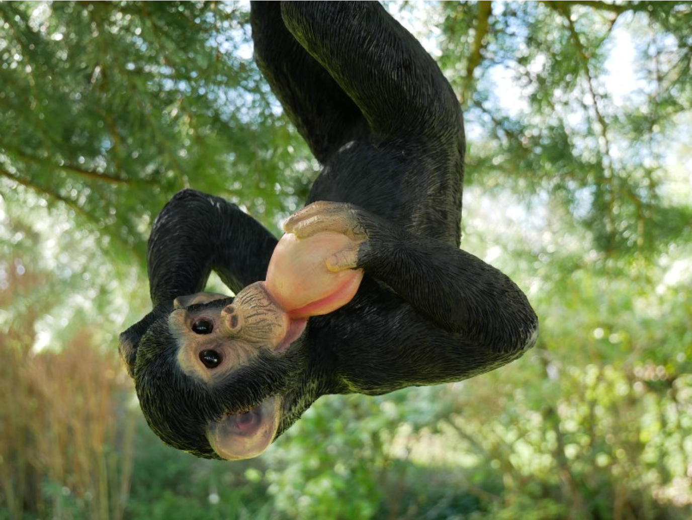 Climbing Monkey