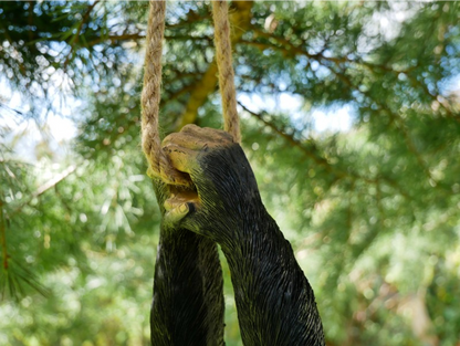 Climbing Monkey