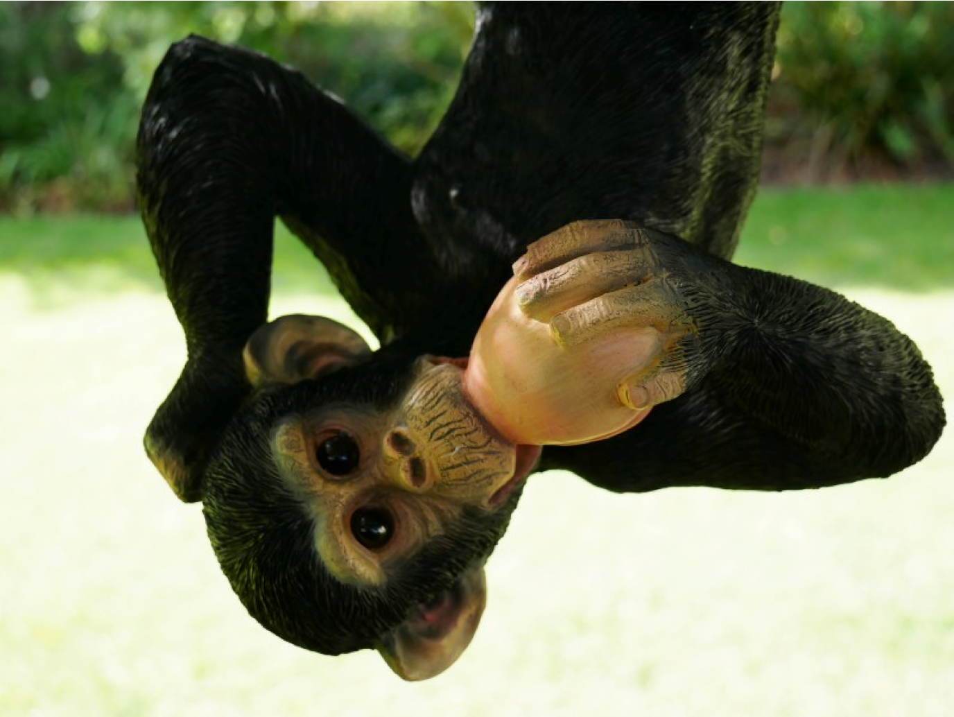 Climbing Monkey