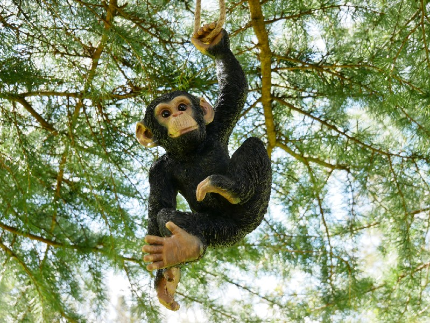 Climbing Monkey