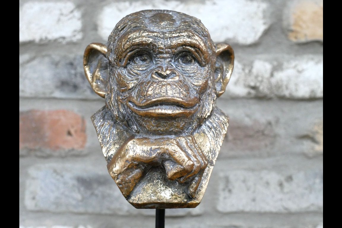 Monkey Head