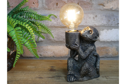 Monkey Light