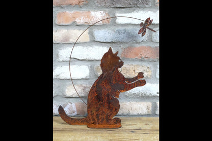 Cat & Dragonfly