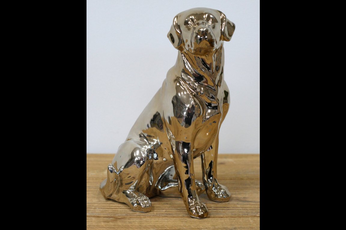 Golden Dog