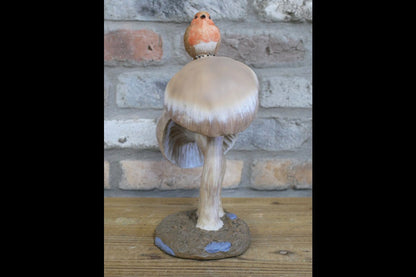 Robin On Top Of Mushrooms