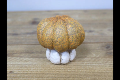 Small Pumpkin