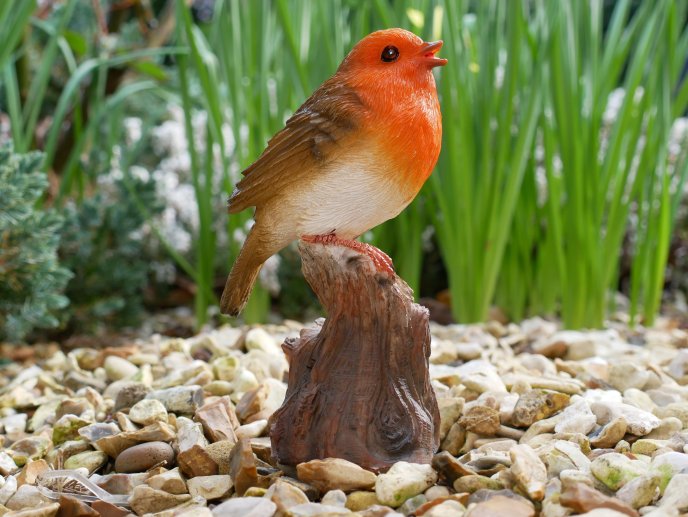 Tweeting Bird