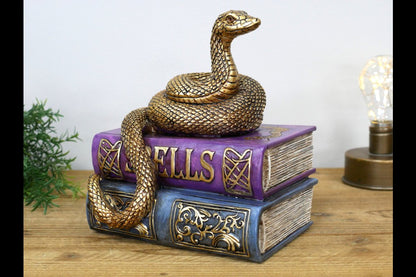 Snake On Spell Books