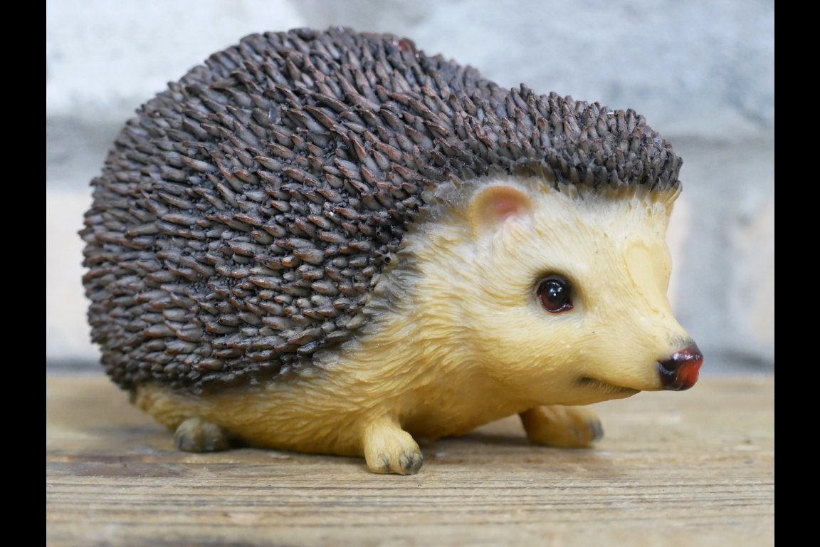 Hedgehog