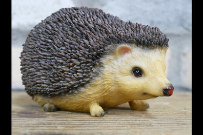 Hedgehog