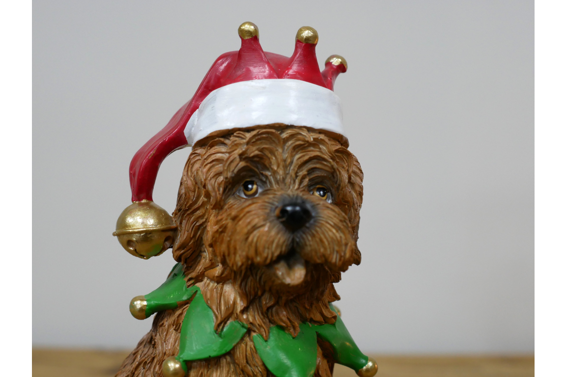 Dog With Christmas Hat