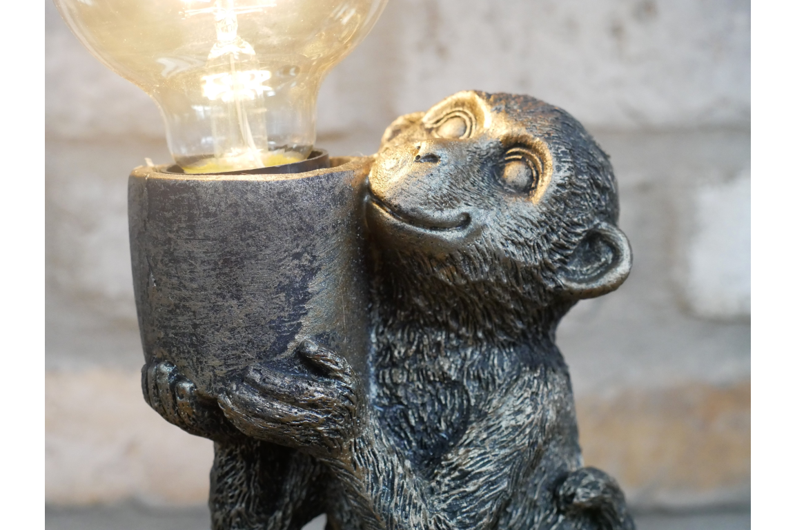 Monkey Light