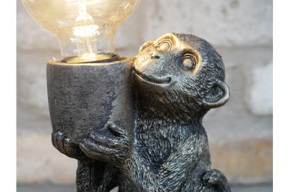 Monkey Light