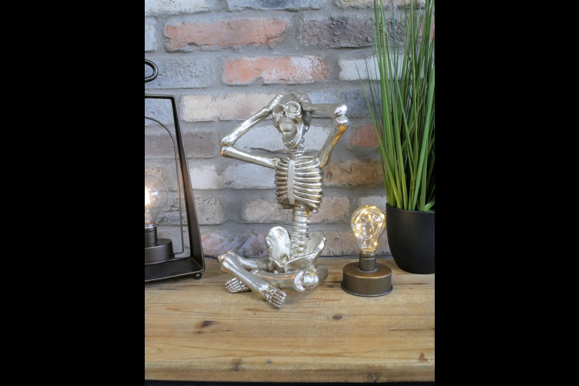 Skeleton