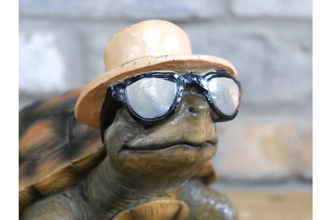 Holiday Tortoise