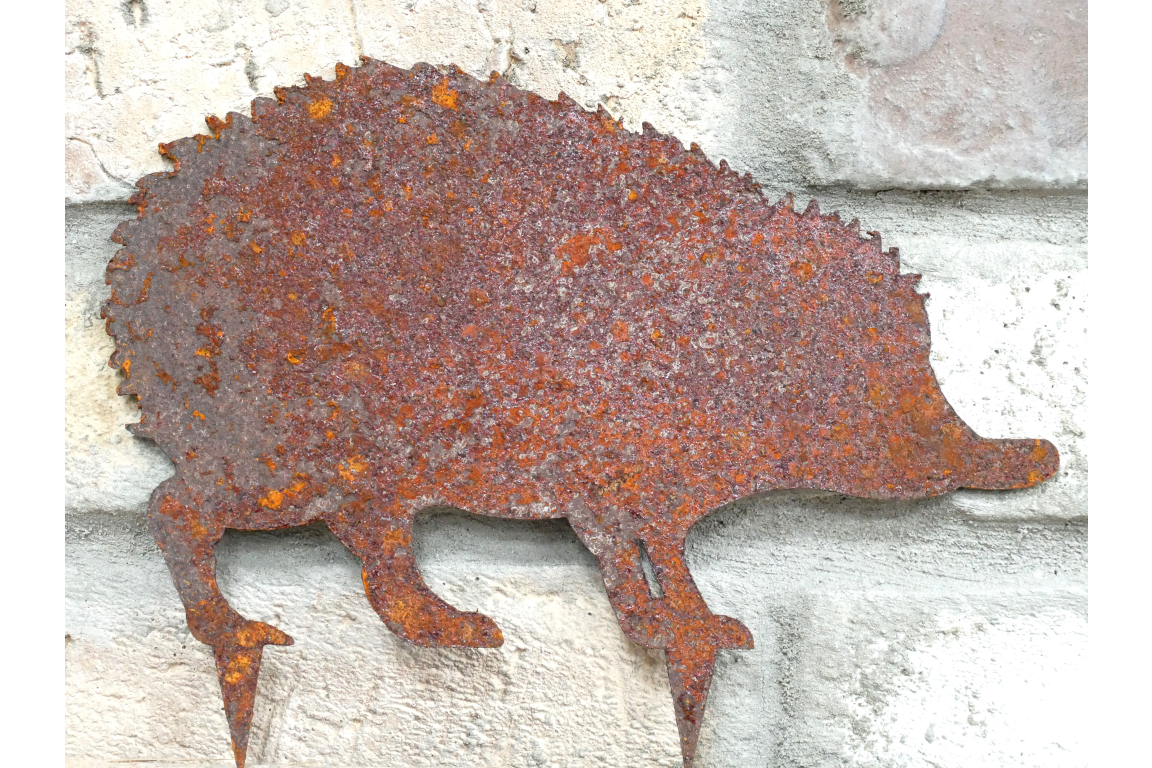 Hedgehog Spike