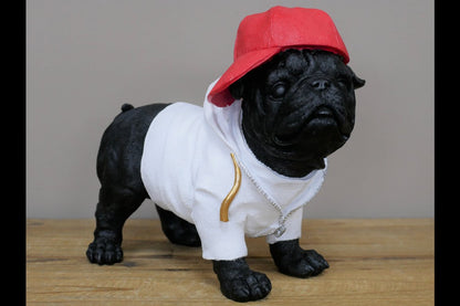 Dog With Cap