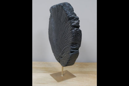 Black Wood Decoration