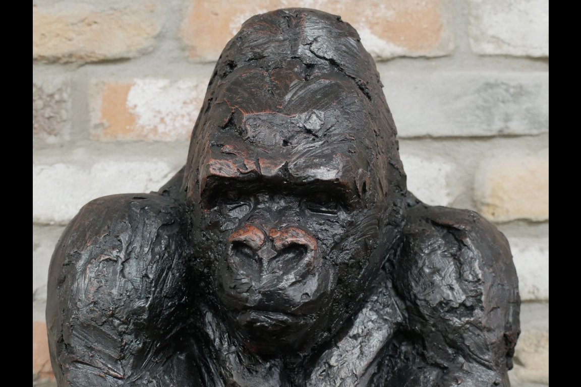 Gorilla