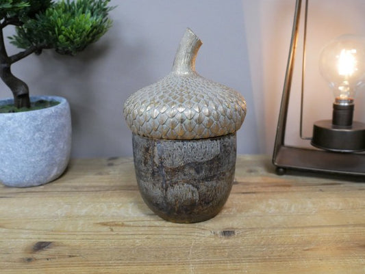 Acorn