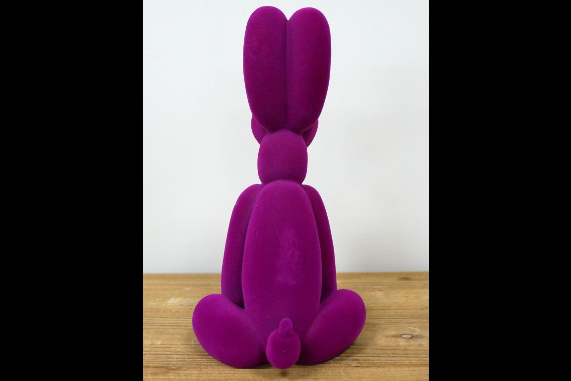 Purple Dog