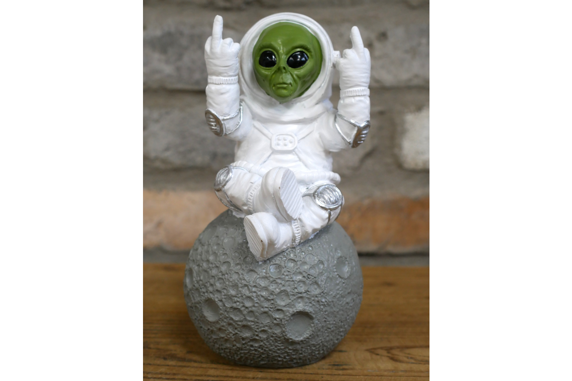 Up Yours Alien