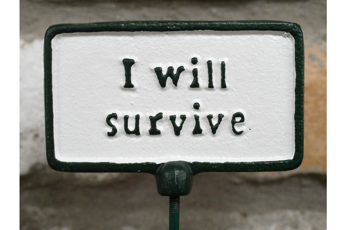 Plant Sign - I Will Survive