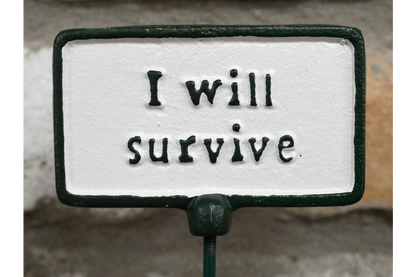 Plant Sign - I Will Survive