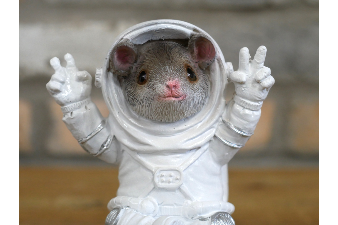 Mouse On Cheese Moon