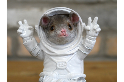 Mouse On Cheese Moon