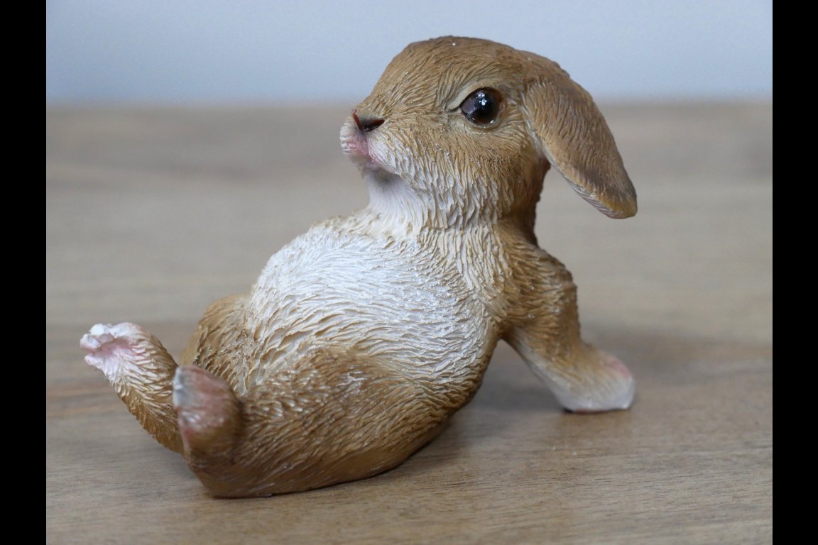 Mini Rabbits