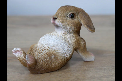 Mini Rabbits