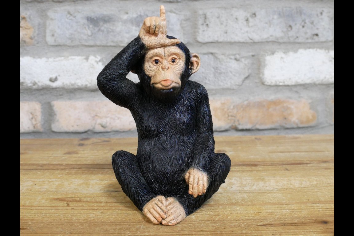 Little Loser Monkey