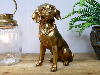 Golden Dog